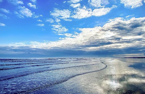 Driffield Cottage | Shirley's Haven - UK46631