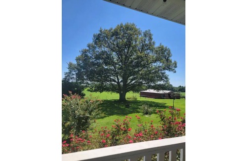 Powell House | Shoal Creek Retreat Farm Stay