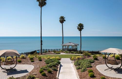 Motel District Hotel | Shore Cliff Hotel