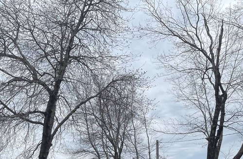 Standish Cottage | Shorefront on Sebago Lake. Private Sandy Beach