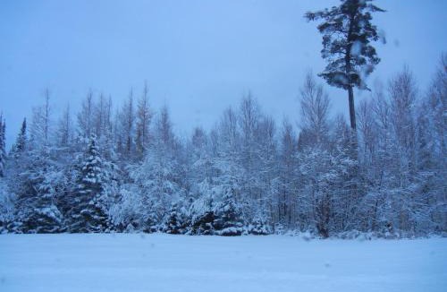 Rye Cabin | Shores of Deer Lake