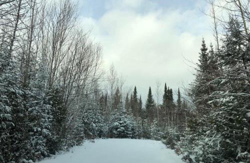 Rye Cabin | Shores of Deer Lake