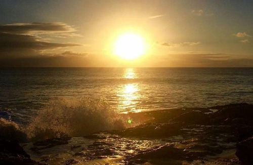 Marigot Hotel | shrimpys laundry ,hostel and yacht support