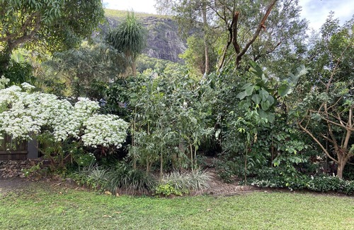 Mount Coolum House | Sid's Place! PETS BEACH MT COOLUM SHOPS GOLF 🐶 🏝For a quiet & relaxing stay!