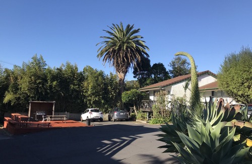 Epsom Hotel | Siesta Motel Auckland