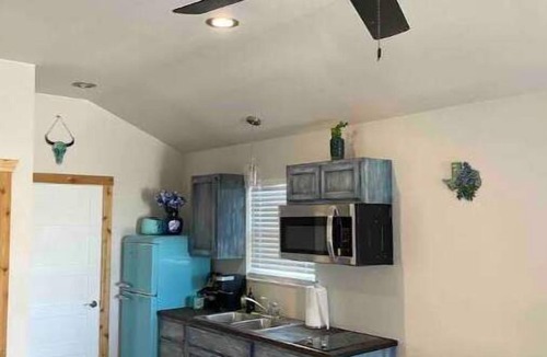 Johnson City Cabin | Silver Dollar Winery Bluebonnet