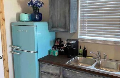 Johnson City Cabin | Silver Dollar Winery Bluebonnet