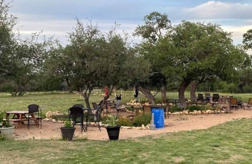 Johnson City Cabin | Silver Dollar Winery Bluebonnet