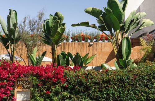 Sunset Junction Hotel | Silver Lake Pool & Inn