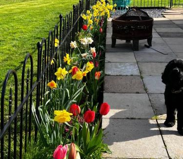 Monmouth Ski Chalet | Silver Springs Farm Lodge