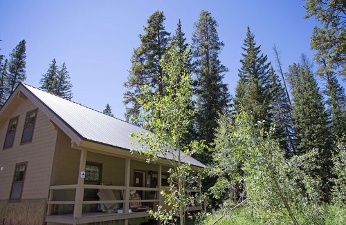 Cooke City-Silver Gate Cabin | Silver Willows Ursa Cabin on 4 Acres by the Creek