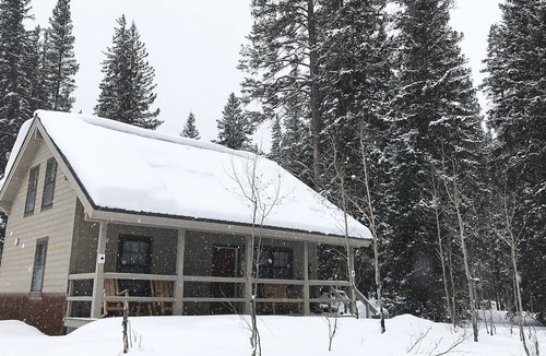 Cooke City-Silver Gate Cabin | Silver Willows Ursa Cabin on 4 Acres by the Creek