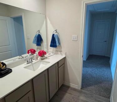 Lincoln Park House | Silverado Homes