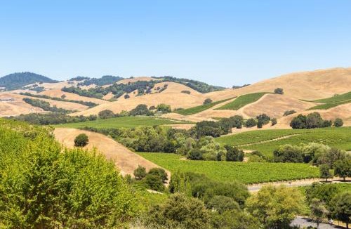 Napa Apartment | Silverado Resort and Spa 375