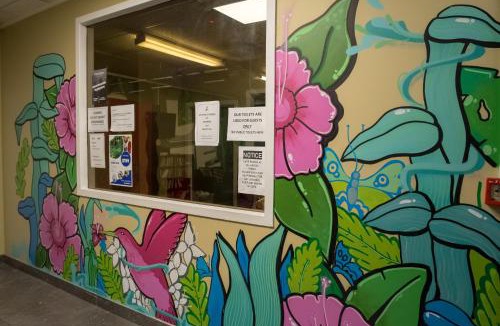 Newton Hostel | Silverfern Backpackers