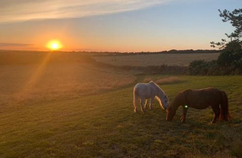 Helford Passage Other | Silverspring Glamping The Shepherds Hut