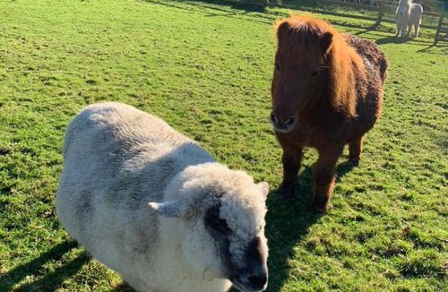 Helford Passage Other | Silverspring Glamping The Shepherds Hut