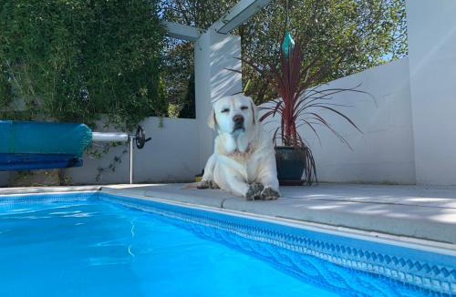 Helford Passage Ski Chalet | Silverspring Hideaways