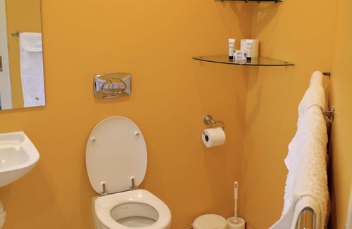 Kaiapoi Other | Silverstream Alpaca Farmstay and Tour