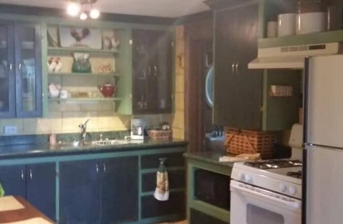 Bayview Apartment | SILVERWOOD, BAYVIEW, LAKE PEND ORIELLE, FARRUGUT PARK HIDEAWAY pet-friendly!