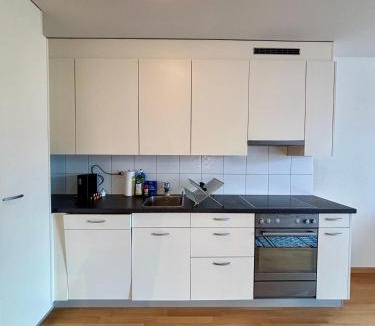 Mattenhof-Weissenbuhl Apartment | Simple & Comfy Apartment on Gartenstrasse