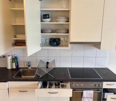 Mattenhof-Weissenbuhl Apartment | Simple & Comfy Apartment on Gartenstrasse
