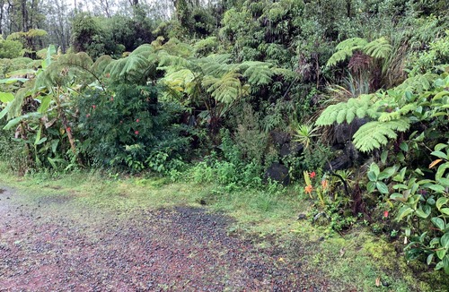 Mountain View Apartment | Simple convenience studio in tropical forestG4