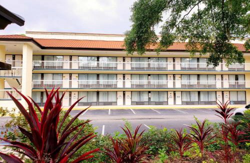 Palmetto Dunes Hotel | Simple Rewards Inn