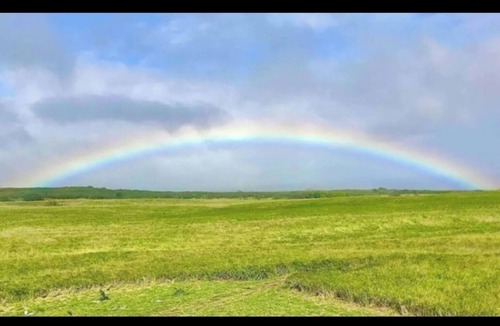 Naalehu Apartment | Simple yet enchanting abode