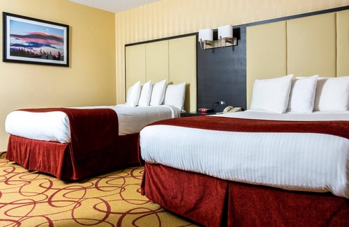 Gander Hotel | Sinbad's Hotel & Suites