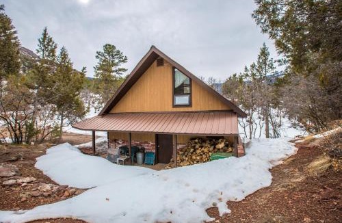 Ridgway House | Singer Cabin 2