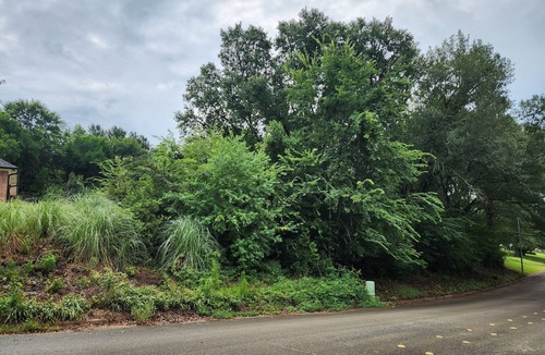 Nacogdoches Apartment | Single Bedroom/Bath in lovely Nacogdoches with Personal AC