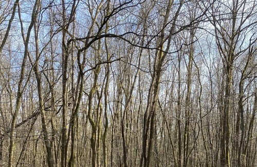 Les Mazures Apartment | Single storey accommodation 28m2