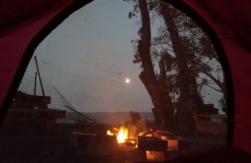 Nordland Cabin | Single twin bed in Shared room, water view/access, Mini Fridge, pets, Fire pit.