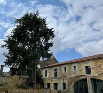 Le Puy-Notre-Dame Bed & Breakfast | Sirona - domaine viticole et chambres d'hôtes