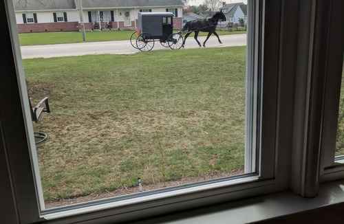 Gordonville House | Sit on the porch and watch all the buggies pass bynnn nnnnnnnnnnnnnnnn