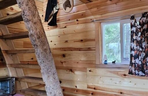 Kenora Cabin | Site 18 Rancher Glamping Bunkie-Small Urban Farm
