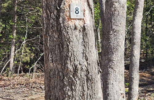 Sunrise Beach RV Rental | Site 8 Small Wooded Site