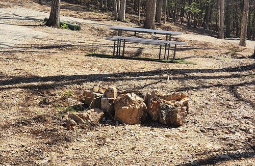 Sunrise Beach RV Rental | Site 8 Small Wooded Site