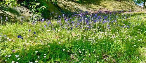 Concarneau Villa | Sittelles lodges cube