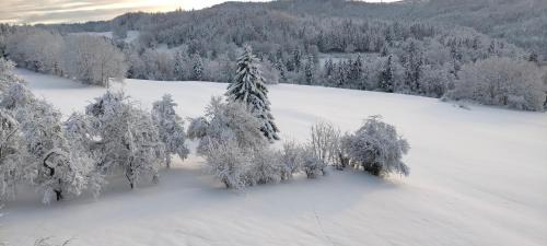 Charmauvillers Bed & Breakfast | Sixième Sens - 1828