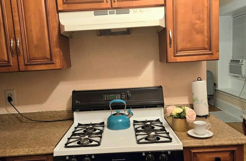 Downtown Minneapolis Apartment | Siyeh Sage Flat DT Minneapolis