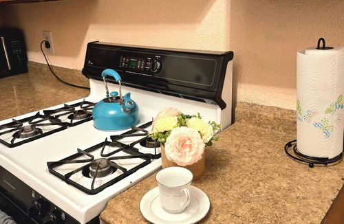 Downtown Minneapolis Apartment | Siyeh Sage Flat DT Minneapolis