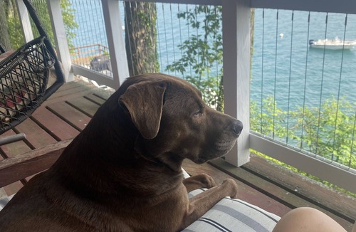 Moravia Cottage | Skaneateles Lakefront Cottage
