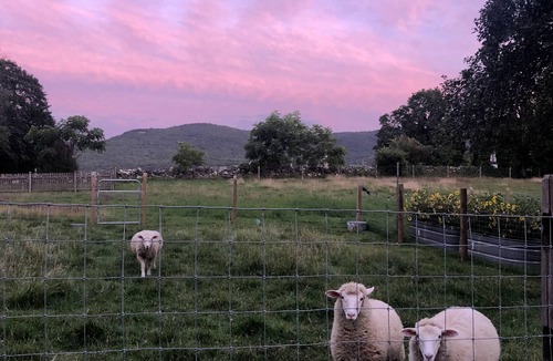 Cheshire House | Ski at 19th c. Barn in the Berkshires