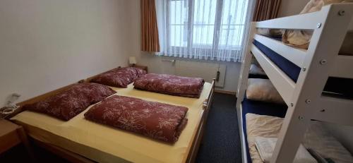 Pany Apartment | Ski fahren-Schneeschuhwandern-Langlauf inkl Hallenbad