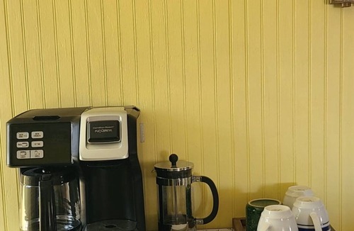 Town of Conesville Cottage | Ski - Hike - Hunt near Windham & Hunter Mountains. Wood Stove