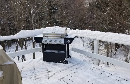 Wilmington House | Ski House With Amenities