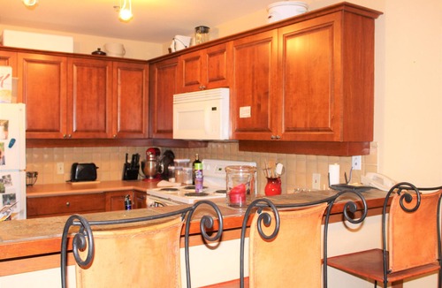 Salt Lake Mountain Resorts Condo | Ski in, Ski out 2 Bedroom condo. Large deck for Summer