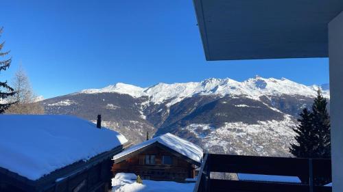 Vex Apartment | Ski in Ski out au pied des pistes à Thyon - Les Collons!